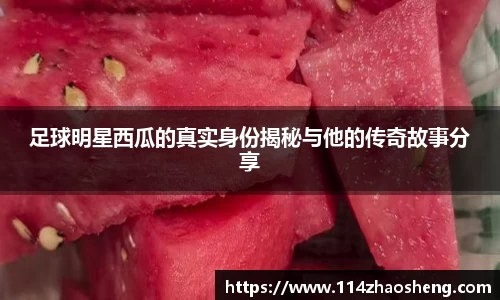 BOB半岛官方网站